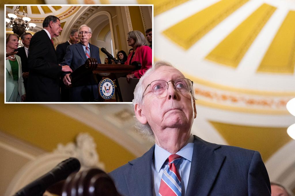"Senate Majority Leader Mitch McConnell's Airport Mishap Caught on Camera"
