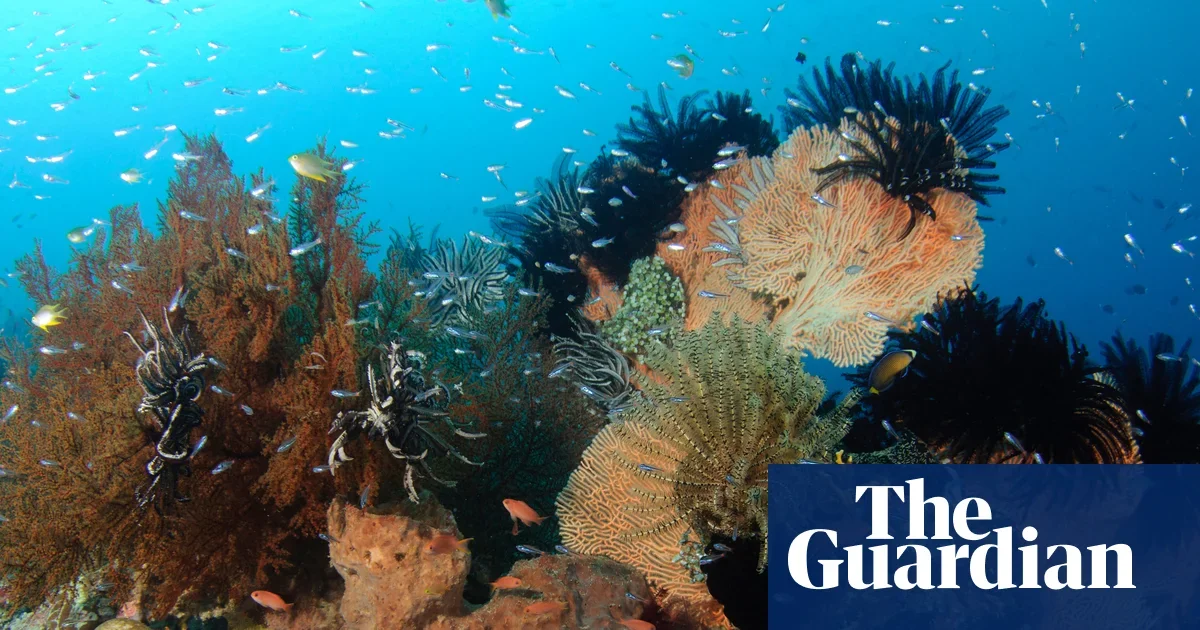 Planet's Heat Imbalance Hits Record High as Oceans Absorb Most Warming