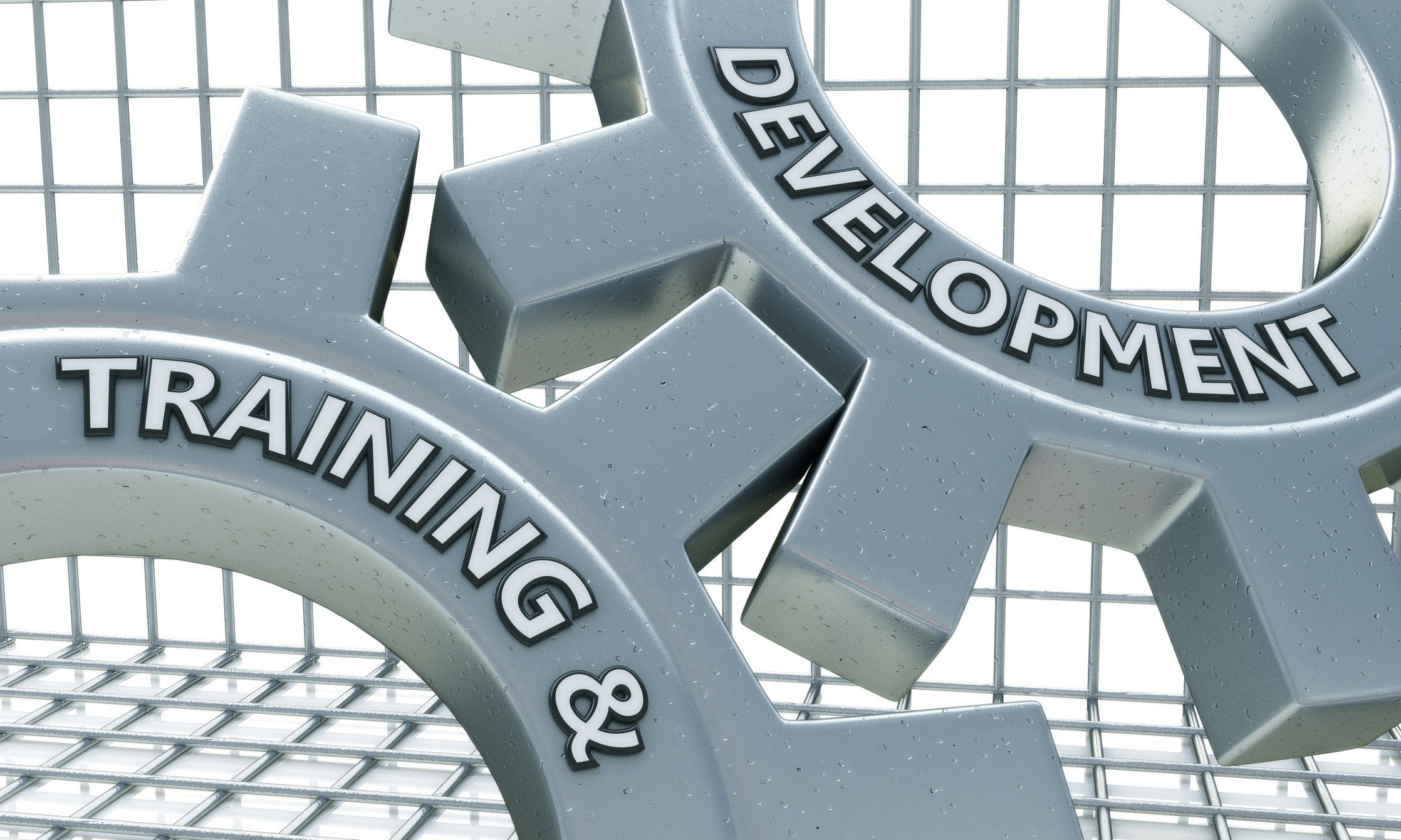 Featured image for OPM Plans Major Reforms to SES Candidate Development