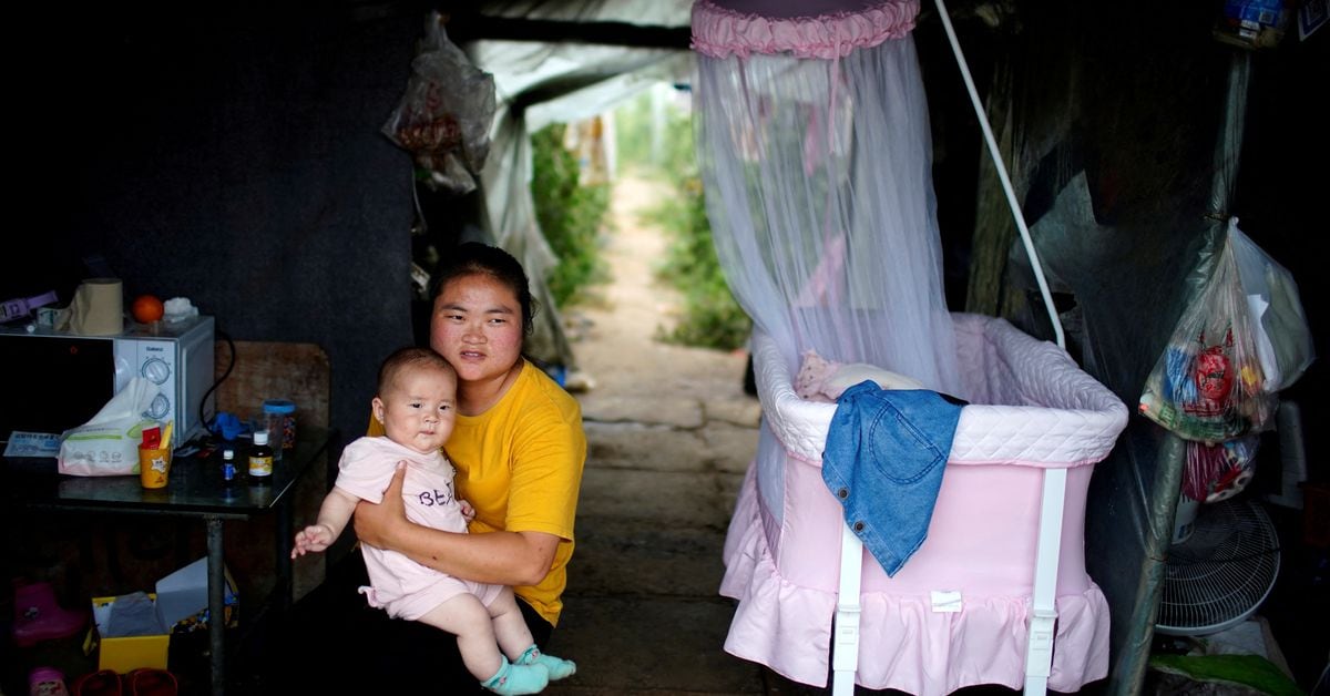 "Xi Jinping Urges Chinese Women to Lead the Way in Family and Society"