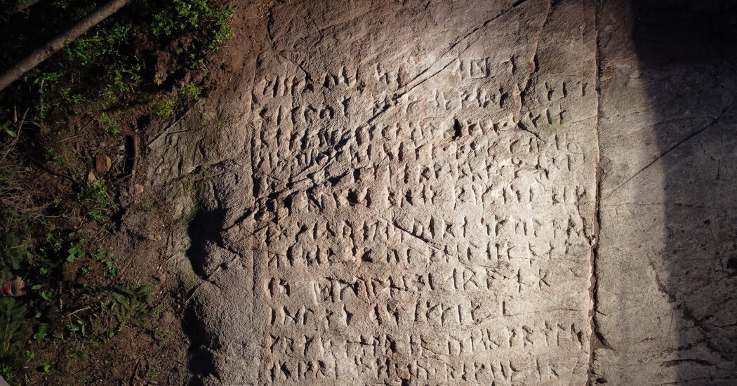 Potentially North America's Oldest Runestone Discovered in Canadian Forest