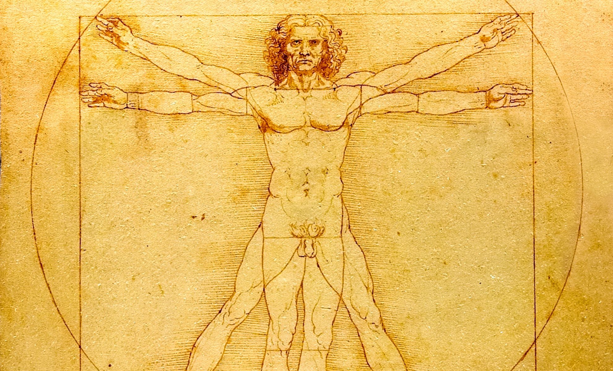 Featured image for Scientists Uncover 500-Year-Old Mystery in Da Vinci’s Drawings