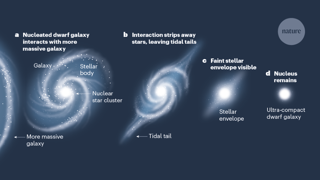 "Starless Wonders: Unveiling the Enigma of Ultra-Compact Galaxies"