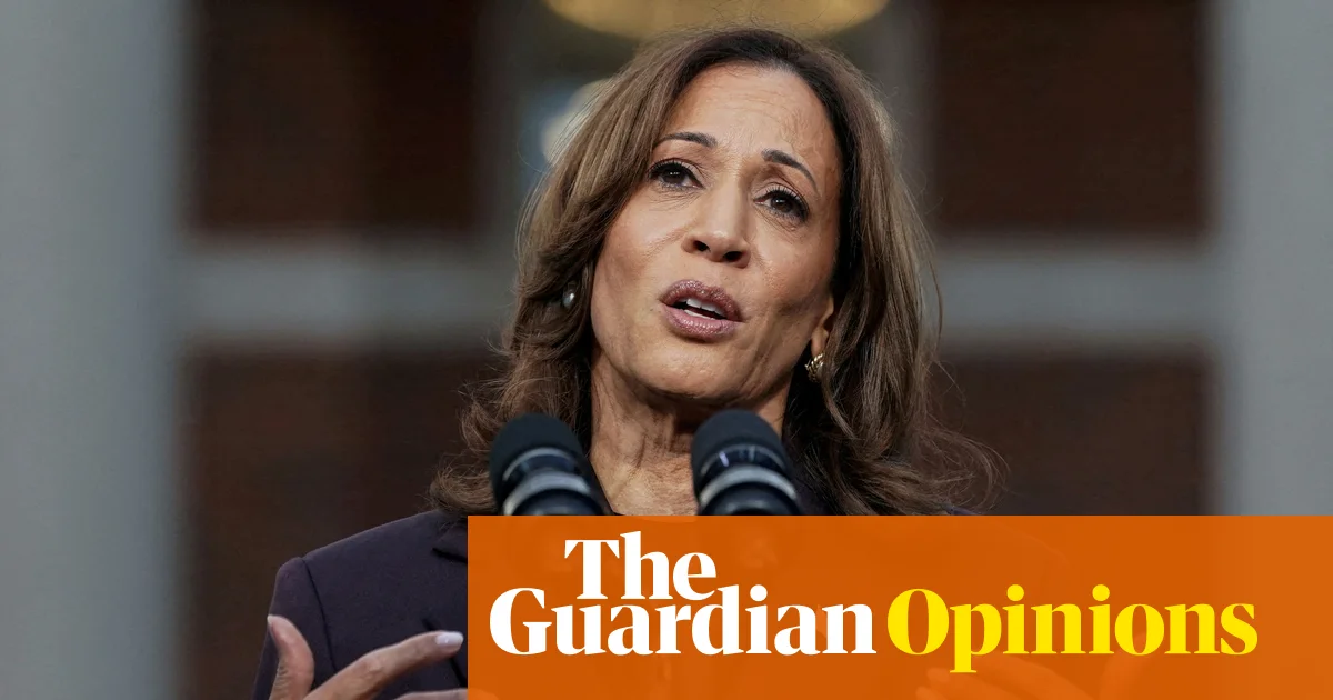Featured image for Lessons from Kamala Harris's Campaign: Avoiding Political Pitfalls