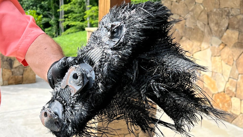 Featured image for SpaceX Debris Crashes in North Carolina