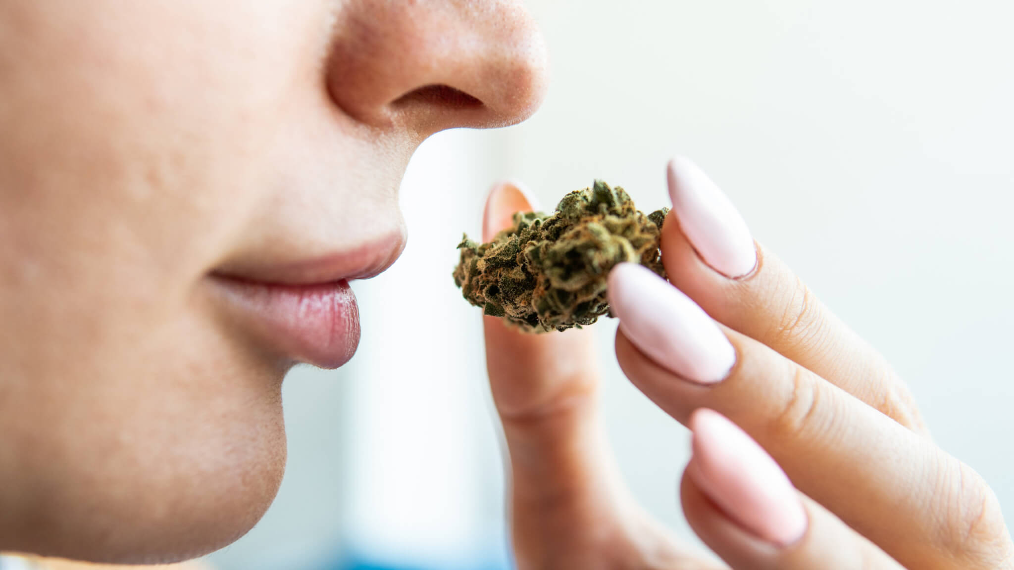 "Cannabis Use and Cognitive Decline: Exploring the Protective Benefits"