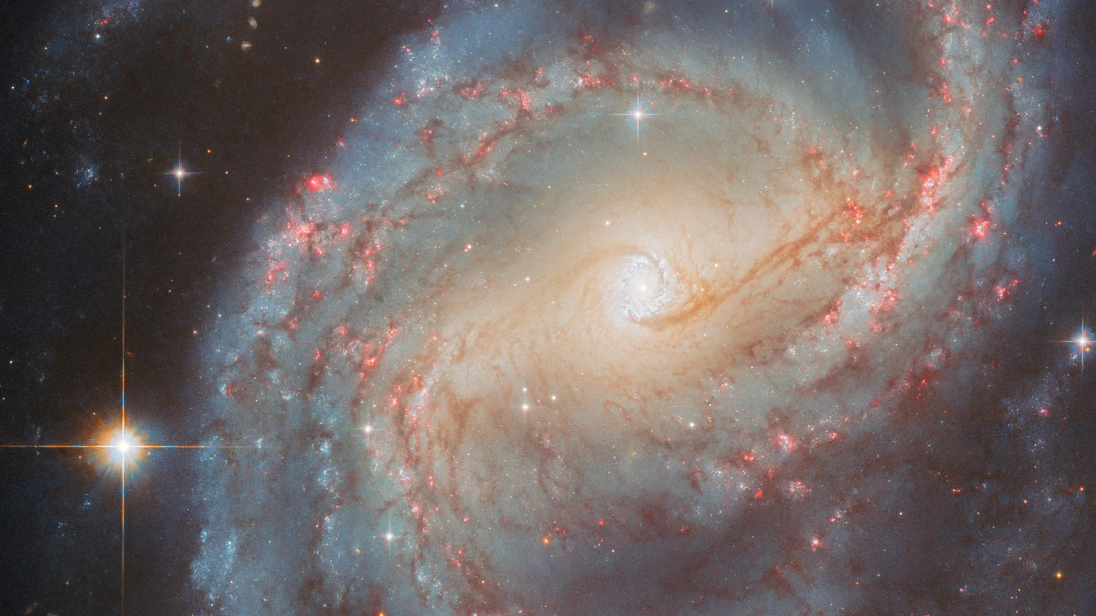 Featured image for Hubble Captures Stunning 'Starburst Ring' Image on Oct. 20, 2025