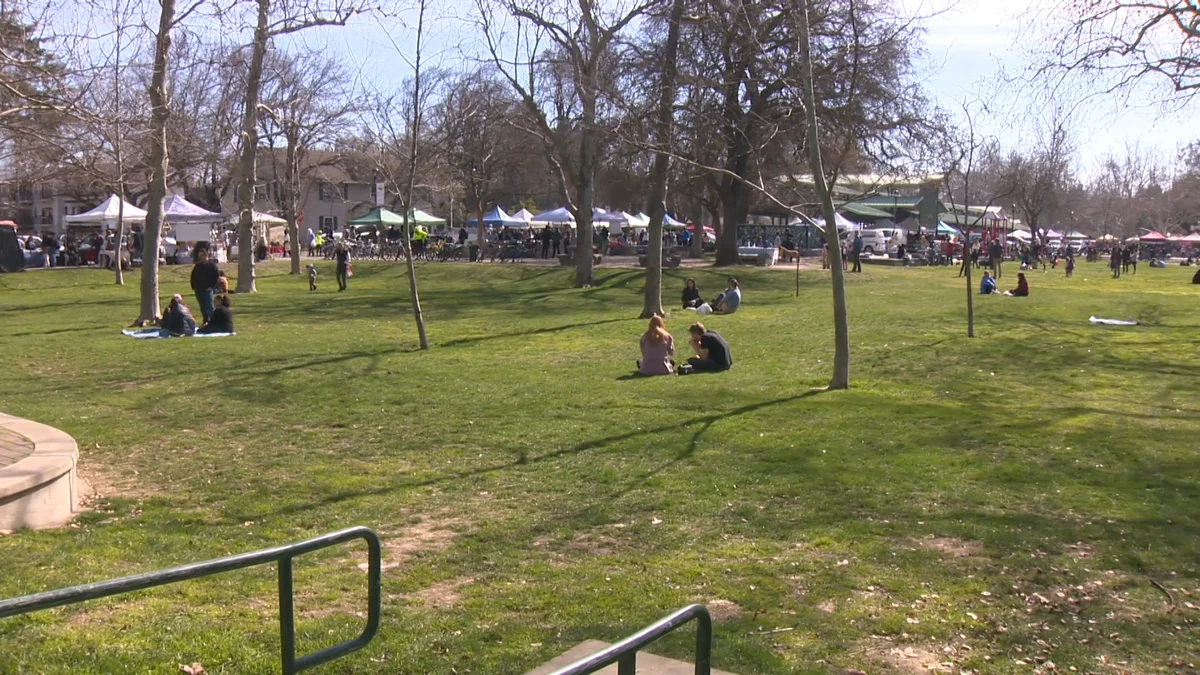 Davis on Edge: Recent Stabbings Prompt Closures and Investigations.