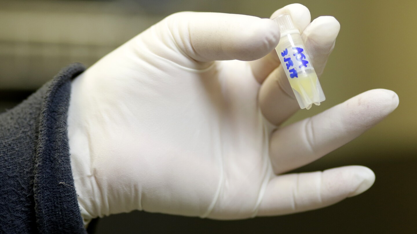 Featured image for "Florida Lawmakers Halt Fetal Personhood Bill Amid Alabama IVF Ruling Fallout"