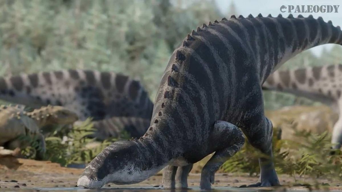 Newly Discovered Dinosaur Species Comes to Life in Animation and Fossils.