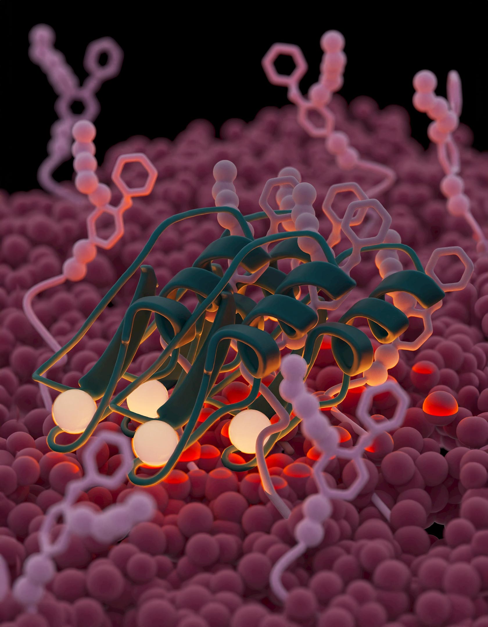 Featured image for "Velcro-Inspired Tech: A New Weapon Against Bacteria"