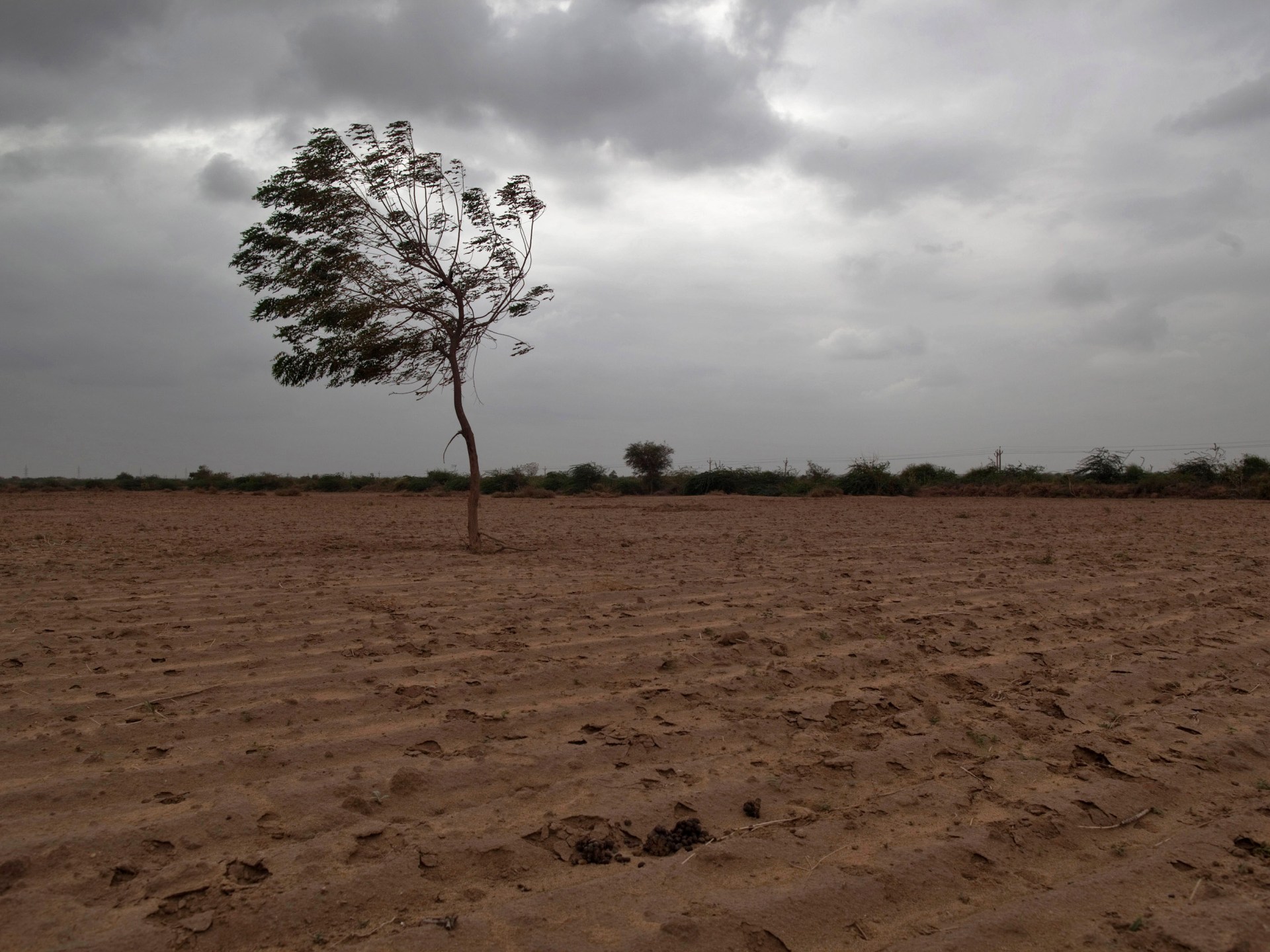 Featured image for Record-breaking droughts and El Nino cause severe water shortage in India and Arizona