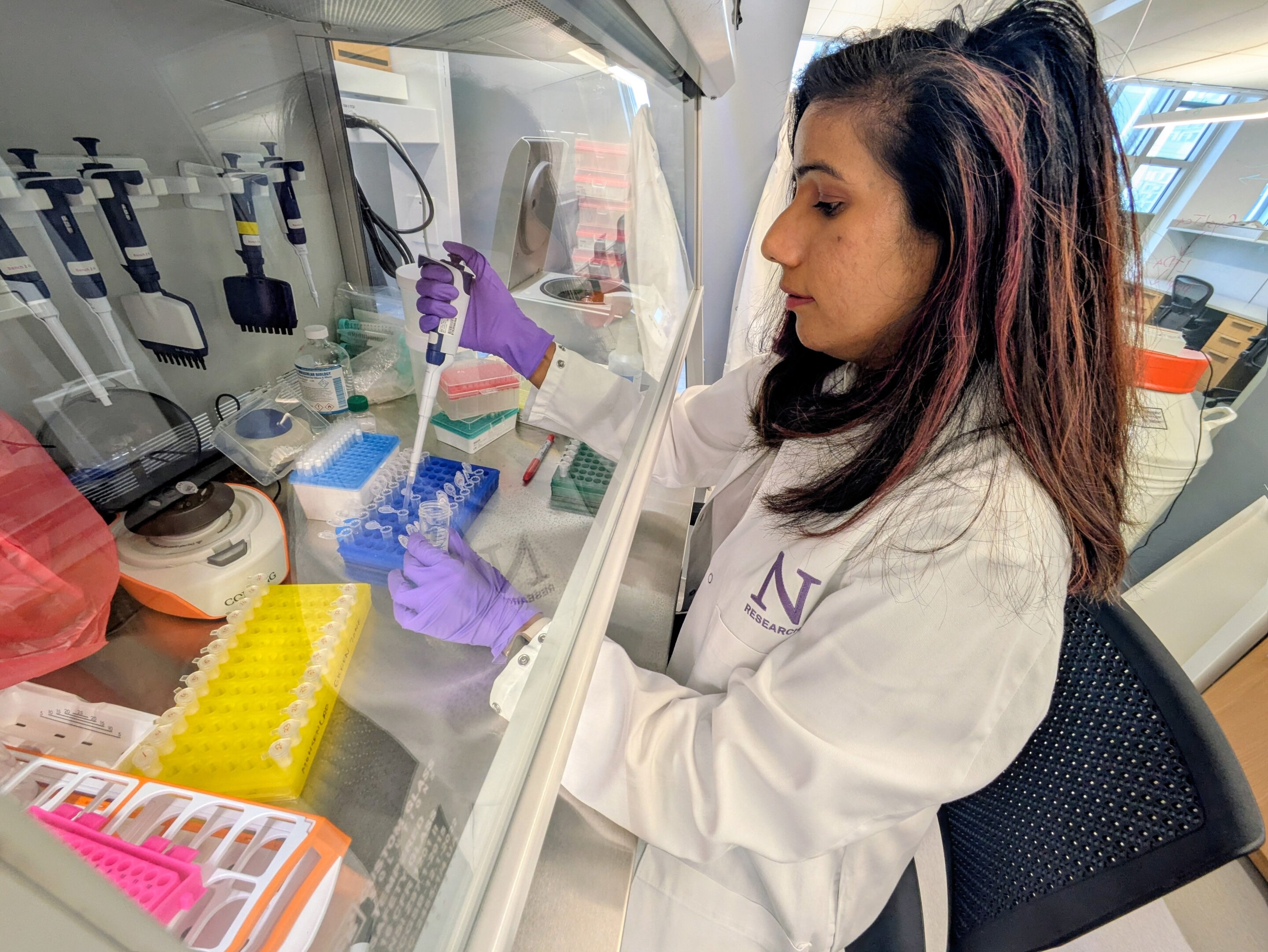 Featured image for New Immunotherapy Strategies Reveal Hidden Pancreatic Cancer Cells