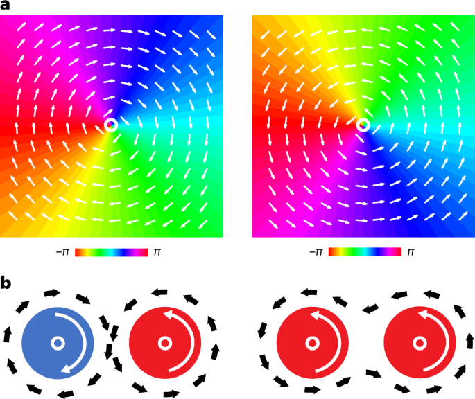 Featured image for Spiral Brain Waves Linked to Cognitive Processing