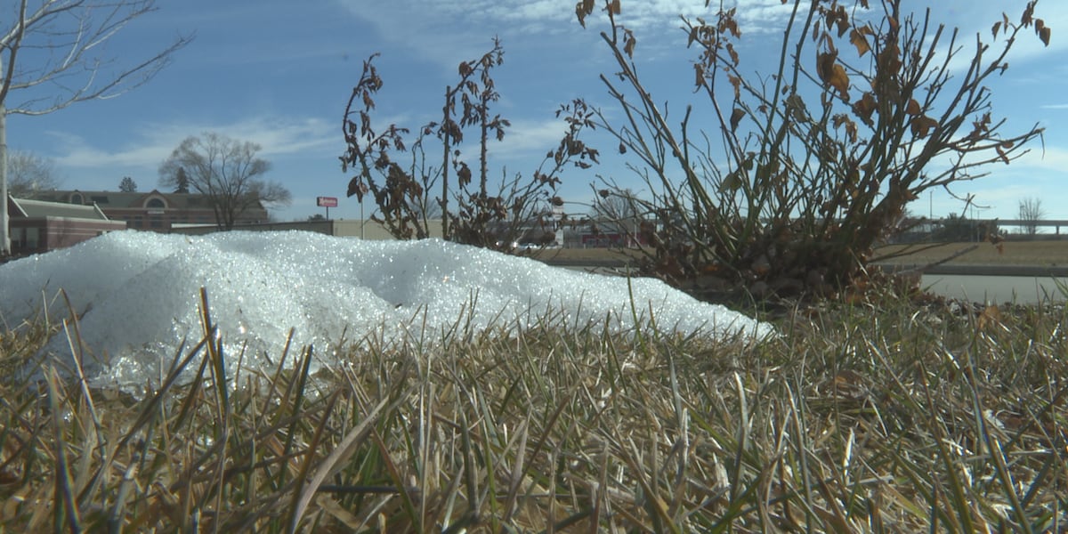 Featured image for "Early Onset Sneezefest: Warm Weather Sparks Spring Allergy Symptoms"