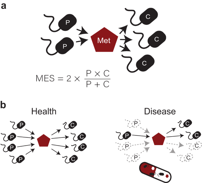 Featured image for Unveiling Disease Treatments through Gut Microbiome Analysis