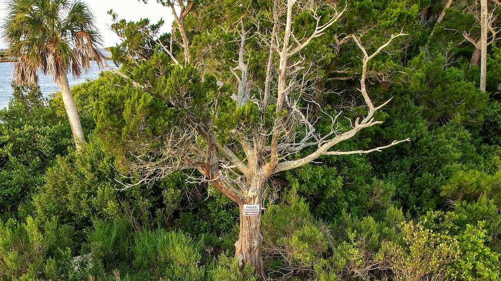 Featured image for COVID-19 Fraudster Buys Private Island with Stolen Relief Aid