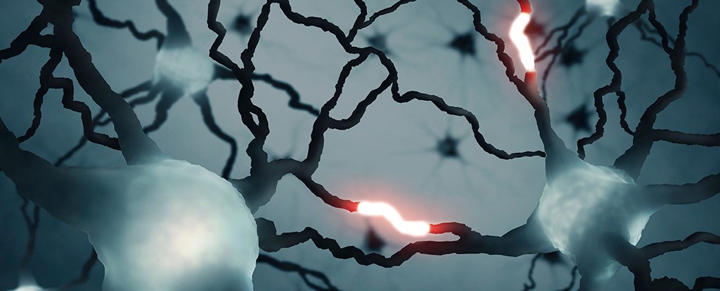 Featured image for "Groundbreaking Discovery: Unprecedented Brain Signal Detected"