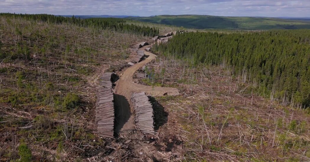 Featured image for Indigenous Voices and Environmental Concerns in Canada's Nation-Building Efforts