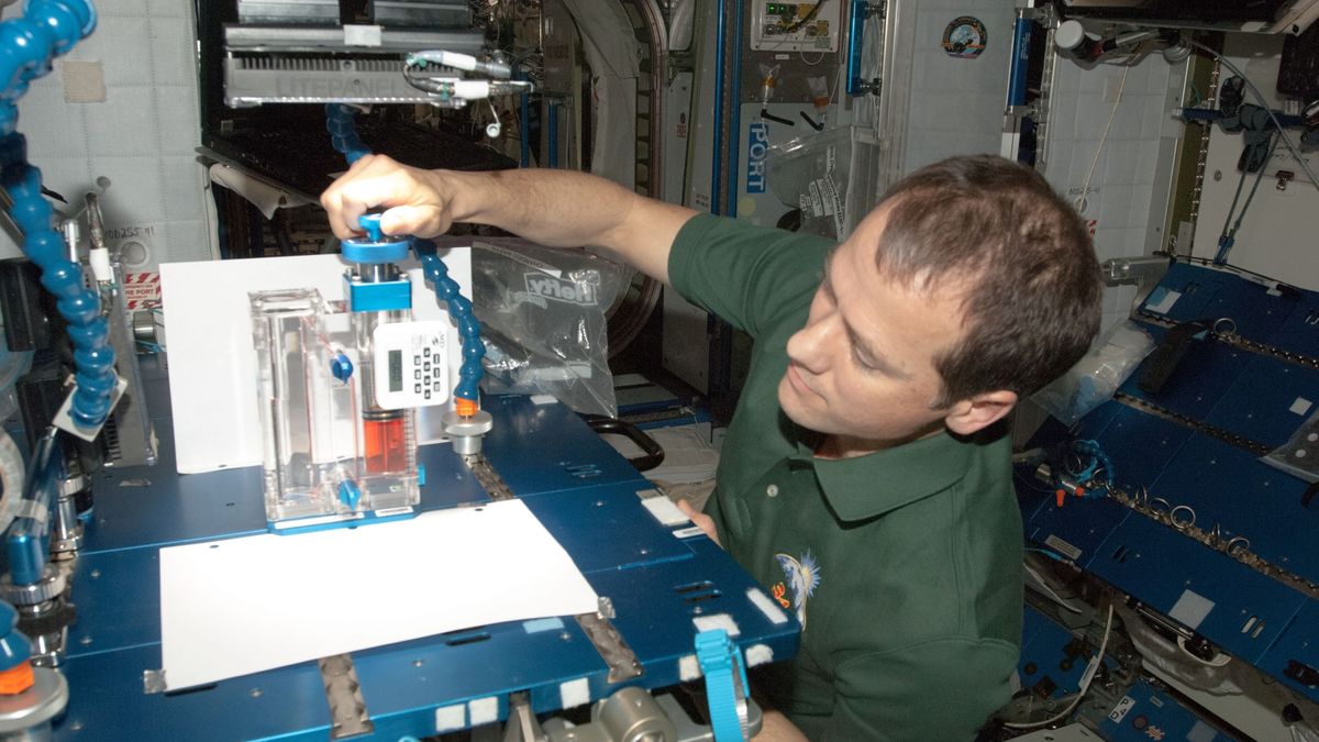"Veteran Astronaut Reveals Space Travel's Medical Breakthroughs"