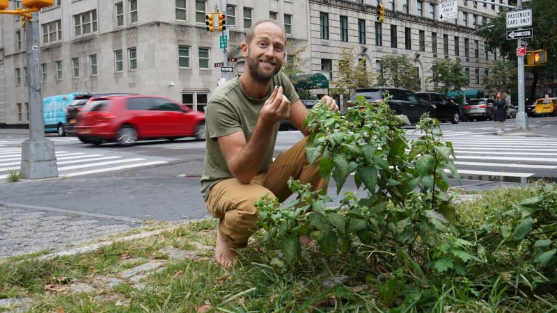 Featured image for Warning: Deadly Wild Mushrooms Pose Serious Health Risks