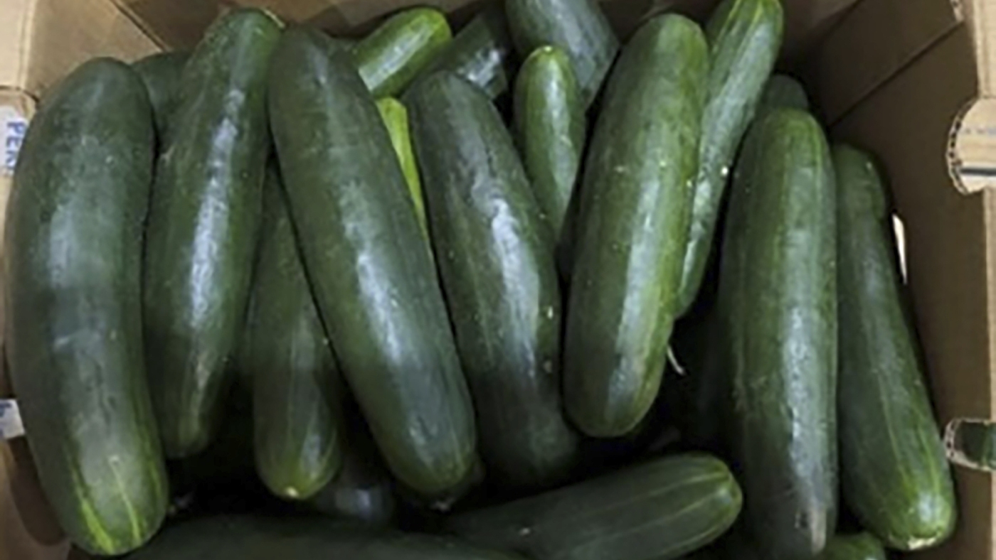 Salmonella Outbreak in Cucumbers Sickens Over 150 Across 25 States
