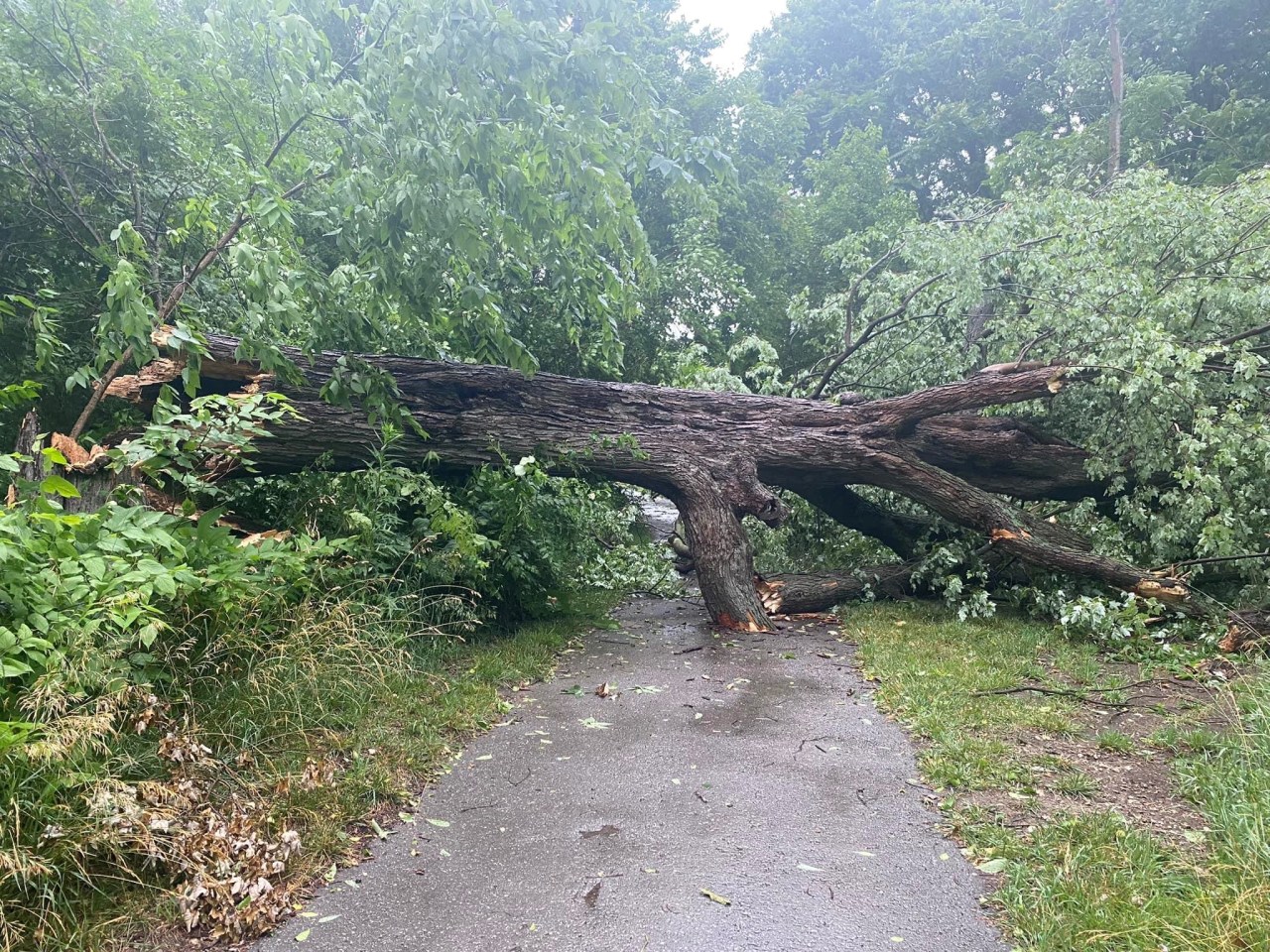 Indiana Plunged into Darkness as Thunderstorms Cause Widespread Power Outages