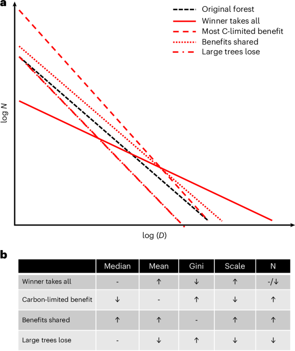 Featured image for Amazonian Trees Grow Larger and More Resilient Amid Rising CO₂ Levels