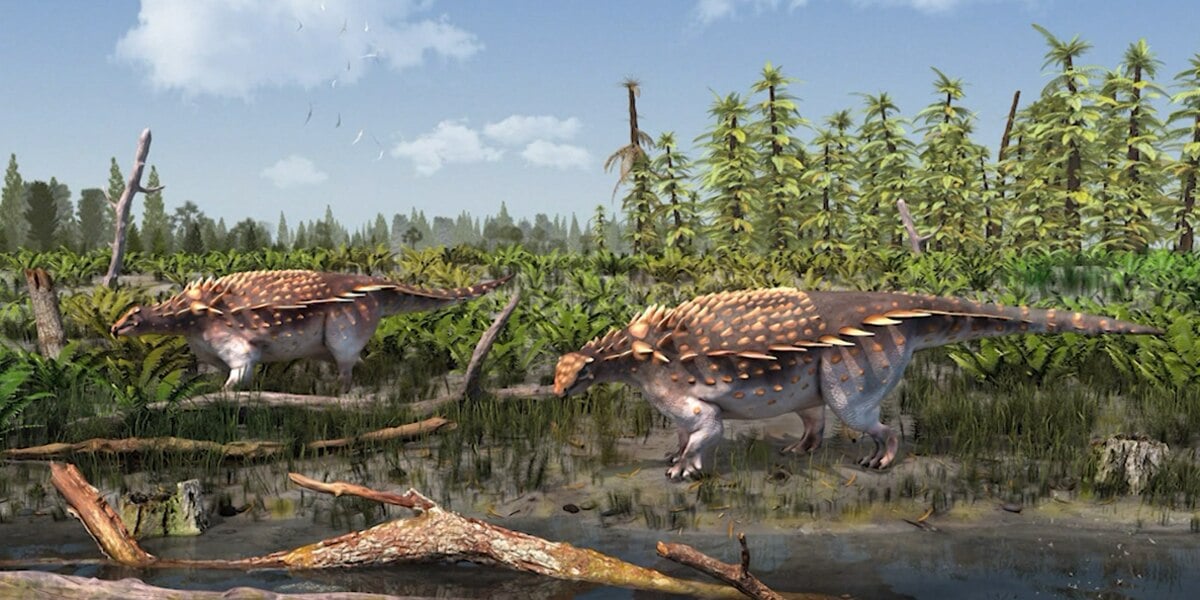 Featured image for "Isle of Wight yields new armored dinosaur species discovery"