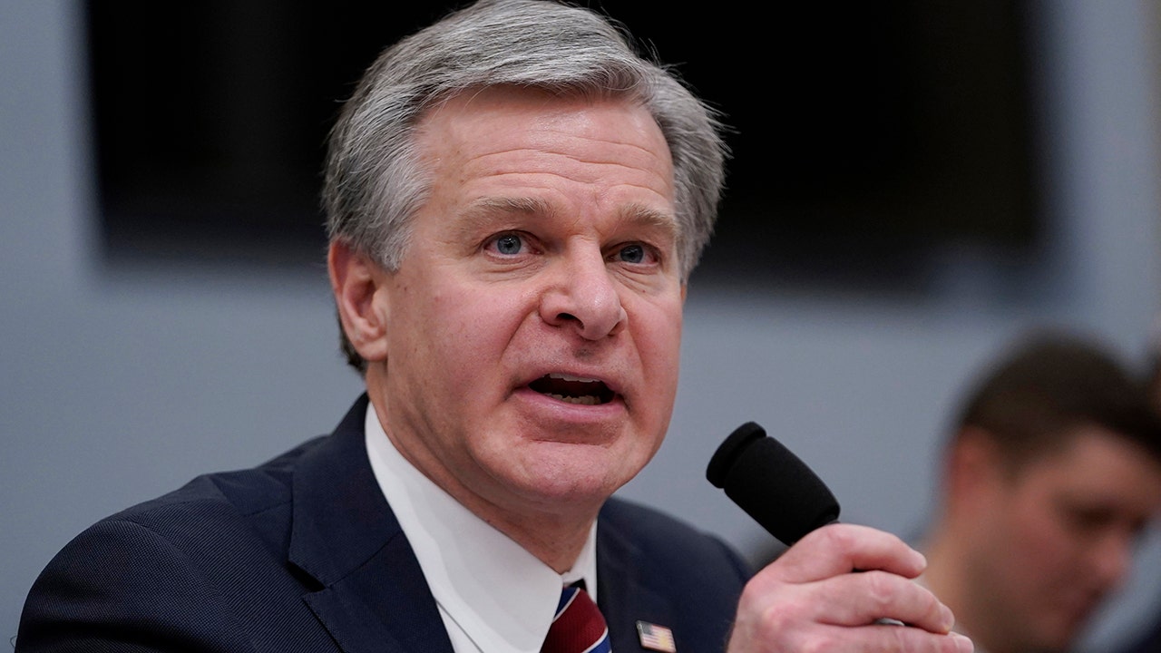 FBI's Tactics in Combating Domestic Terrorism Revealed in Recent Documents.