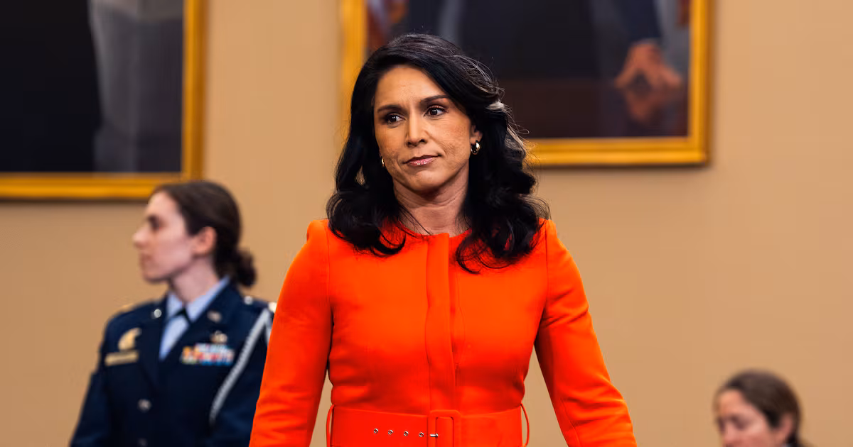 Featured image for Gabbard Accuses Obama Officials of Conspiracy and Reignites 2016 Election Battles