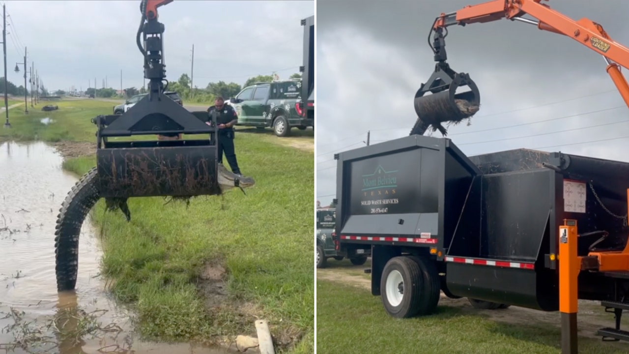 Featured image for "Texas Public Works Uses Grapple Truck to Remove 12-Foot Alligator"