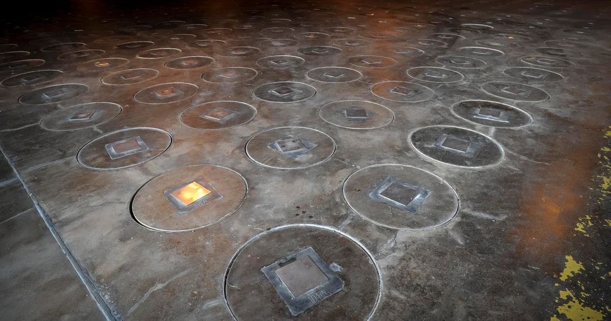 Featured image for Radioactive Wasps Discovered at South Carolina Nuclear Site