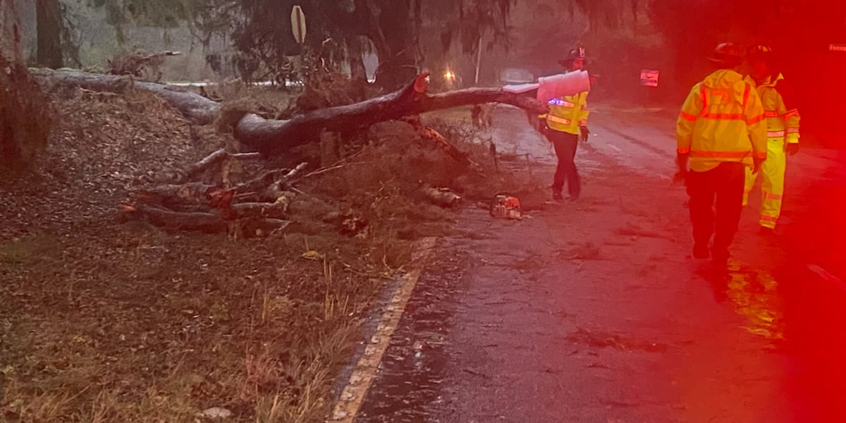 Featured image for "Severe Storms Ravage South Carolina: Wind, Rain, and Tornado Threat"