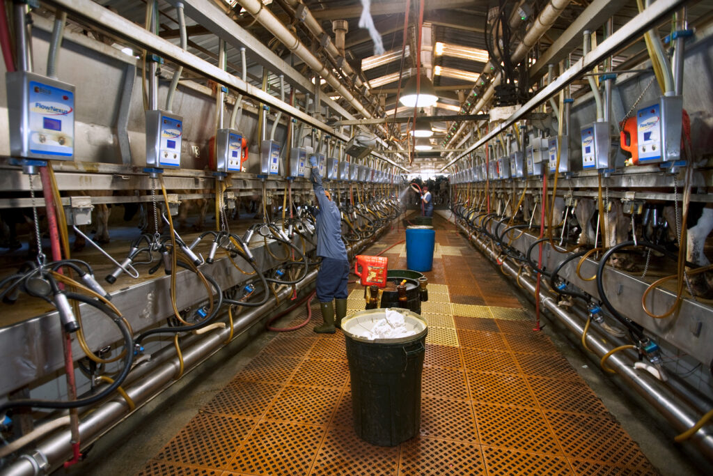 Featured image for California Faces Severe Bird Flu Outbreak Amid Migration Season