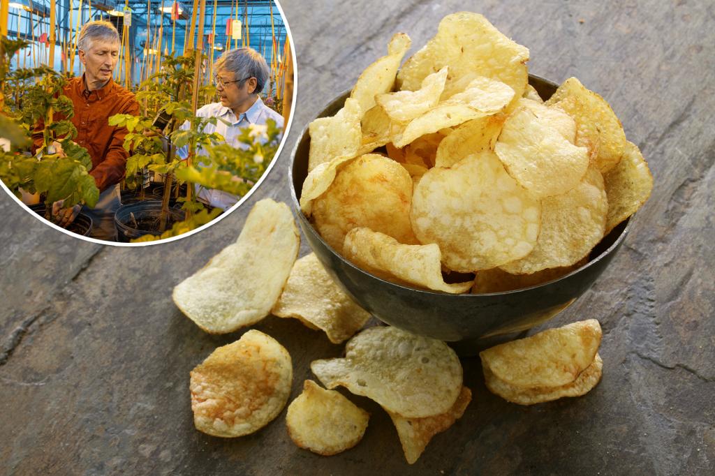 Featured image for "Unveiling the Breakthrough for Healthier Potato Chips and French Fries"