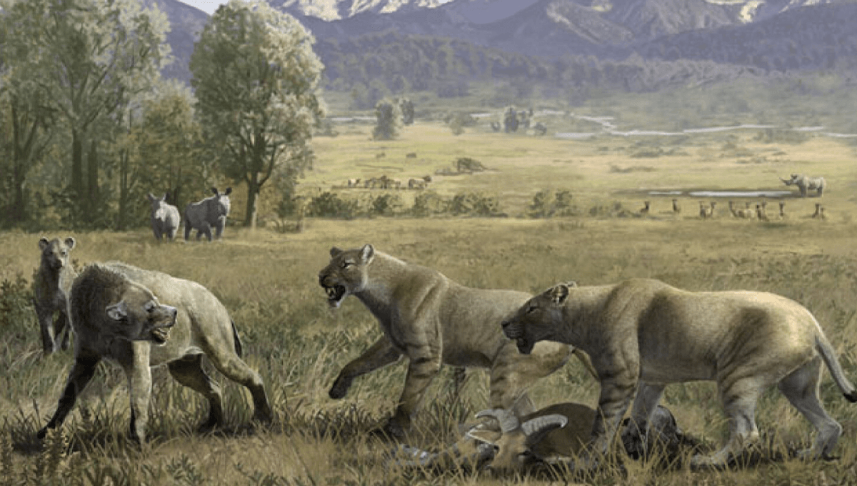 "Sabertooth Cats Showed Surprising Care for Each Other Despite Hunting Prowess"
