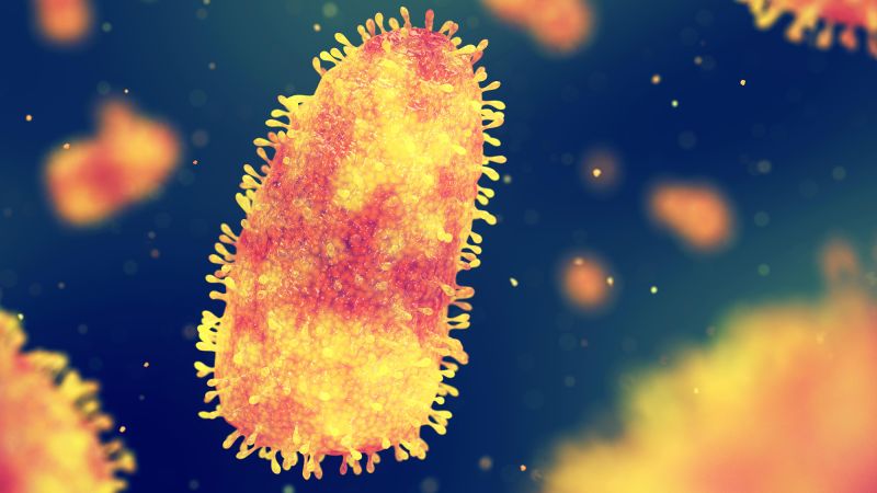 Featured image for US Rabies Deaths Reach Six in Past Year: Key Facts