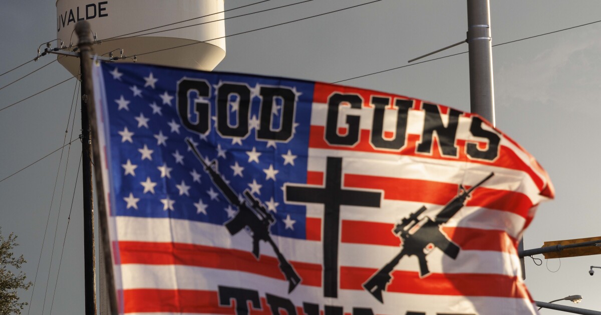 "Arrests and Foiled Plots: Militia Activities at the Southern Border"