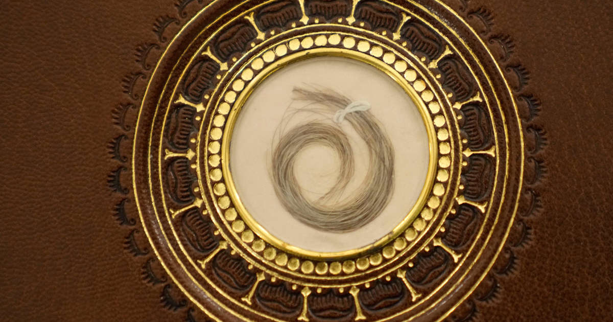 Unraveling the Mysteries of Beethoven's Health and Hair through DNA Analysis.