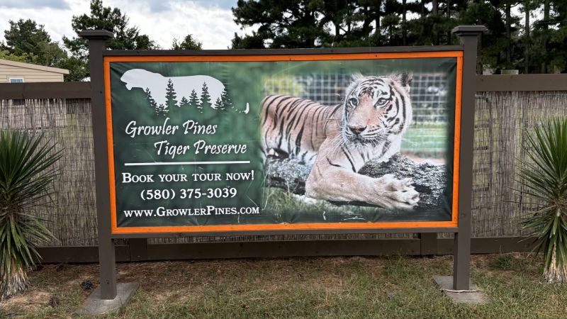 Featured image for Tiger Attack at Oklahoma Wildlife Preserve Results in Fatality