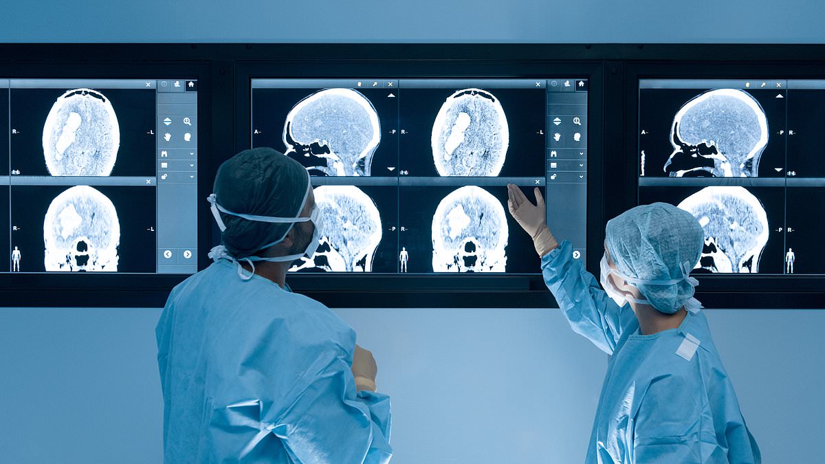 Featured image for "Short Bursts of Exercise and Daily Steps: The Secret to Boosting Brain Size and Preventing Alzheimer's"