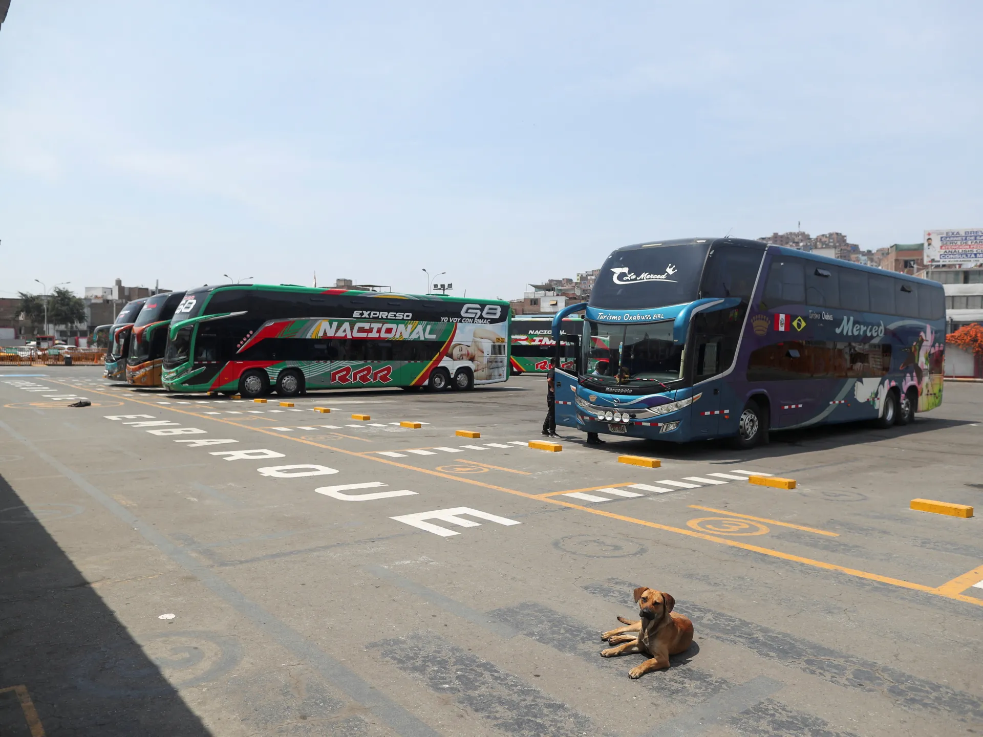 Featured image for Tragic Bus Accident Claims 24 Lives in Peru