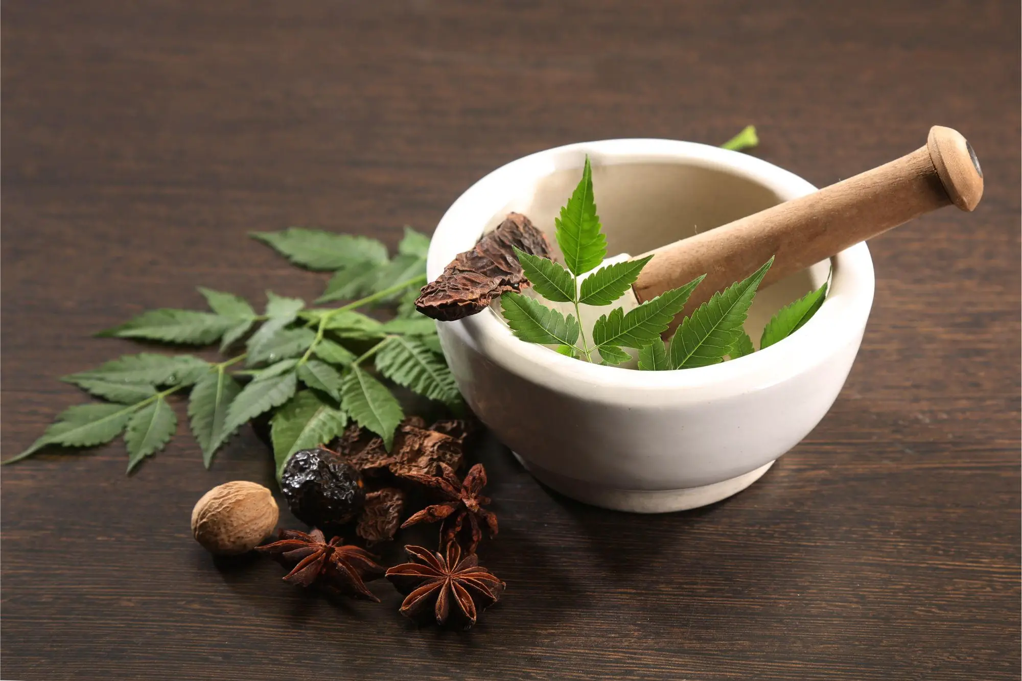 Featured image for "Unveiling the Lead Poisoning Risks of Ayurvedic Medicine: Hidden Dangers in Herbal Remedies"