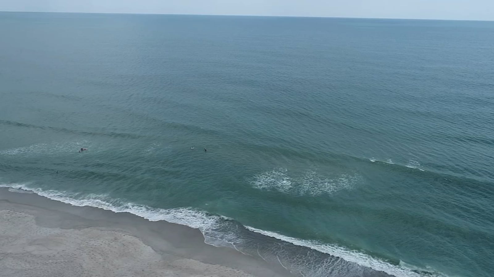 Featured image for Rise in Vibrio Deaths Prompts Warning on Brackish Water, Seafood Consumption