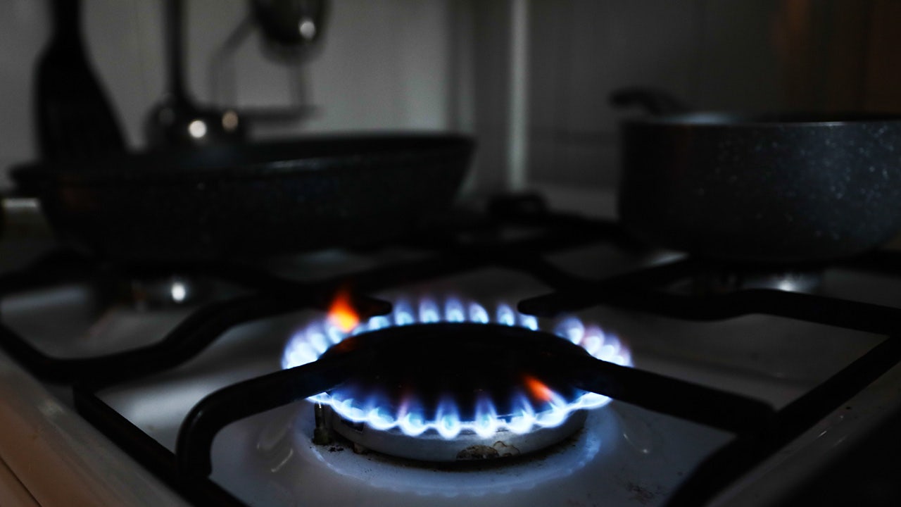 Federal Appeals Court Overturns Berkeley's Natural Gas Ban.