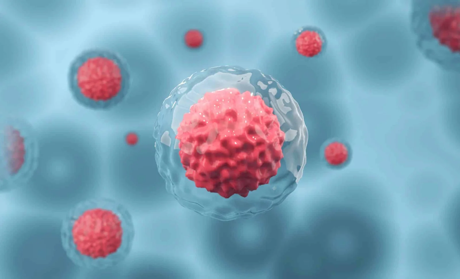 Featured image for Scientists Discover Cellular 'Pause Button' Inside Cells