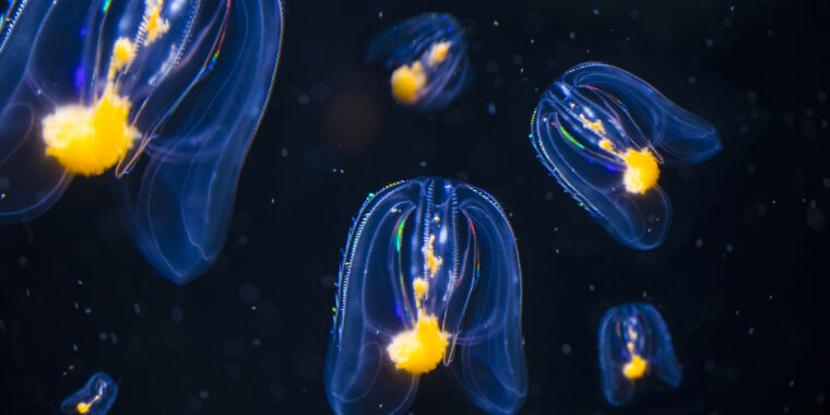 Featured image for Uncovering Mysteries of Animal Evolution through Gene Linkages and Extinction Events.