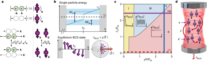 "Exploring BCS Superconducting Dynamics in Cavity QED Simulations"