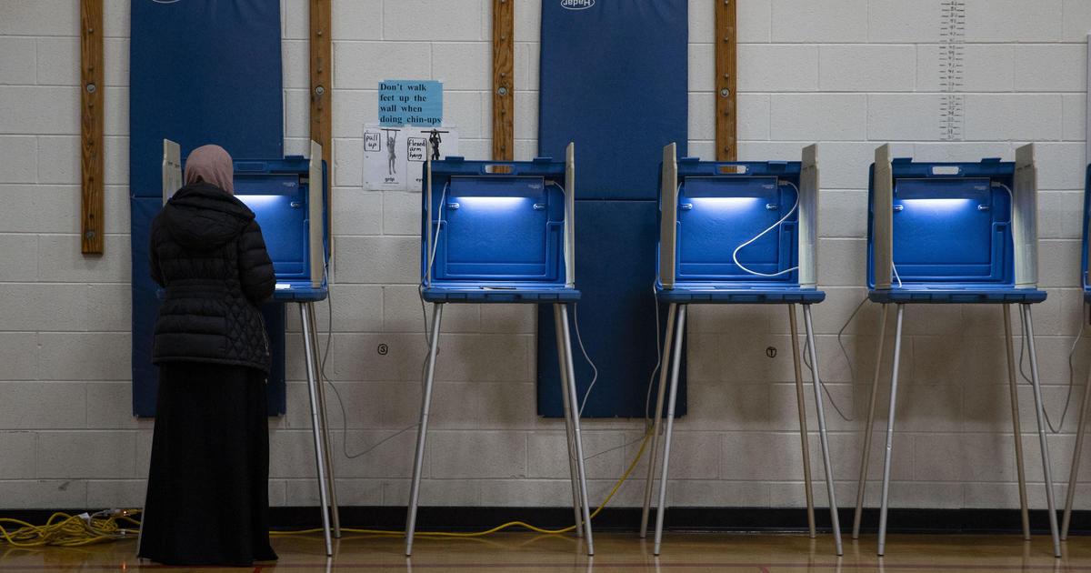 "2024 Michigan Primary: Voter Turnout, Concerns, and Ballot Counting Explained"